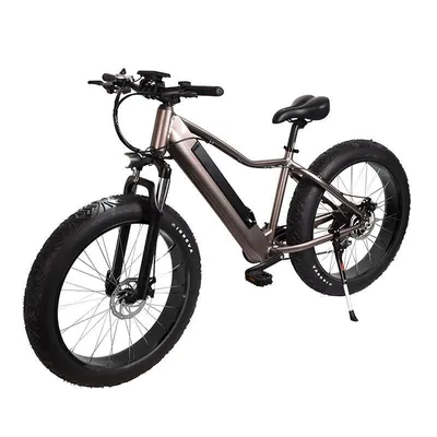 Produktbild von E-Bike "Rock Cruzer" Elektrofahrrad 26 Zoll 250W 85Nm 25kmh herausnehmbarer Akku Mountainbike Fahrrad Fat Bike