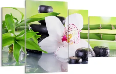 Produktbild von Bild auf Leinwand - Leinwandbild - blume orchidee - 120x70cm - Wand Bild - Wanddeko - Wandbilder - Leinwanddruck - Bilder - Kunstdruck - Wanddekoration - Leinwand bilder - Wandkunst - DL120x70-3659