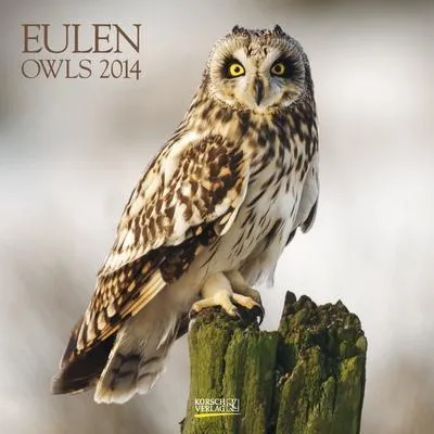 Produktbild von Eulen 2014