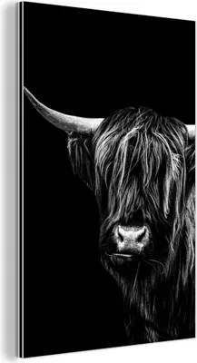 Obrázek produktu pro Nástěnná dekorace Kovový kovový obraz Wall Art 60x90cm Skotský horal na černém pozadí - černobíle Muchowow Hliníkové obrazy