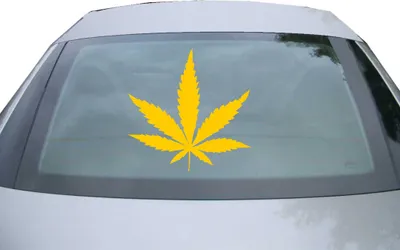 Produktbild von Indigos UG - Aufkleber Heckscheibe & Motorklappe DE6984 - gold - 600x599 mm - Hanf Blatt - Auto Scheiben Fenster Heckklappe Tuning Racing JDM - Die cut