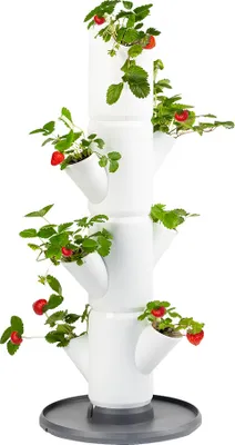 Obrázok produktu pre Gusta Garden SISSI STRAWBERRY štartovací samozavlažovací kvetináč 4 poschodia, biely, rozmery 27 × 27 × 77 cm