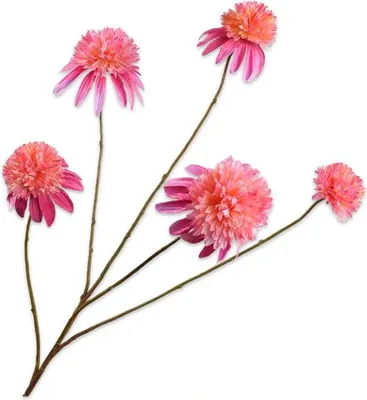 Produktbild von Rudbeckia rosa 90 cm Kunstblume Buitengewoon de Boet