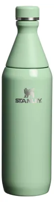 Produktbild von Stanley 1913 All Day Slim Trinkflasche 0.6L - Pistachio Gloss