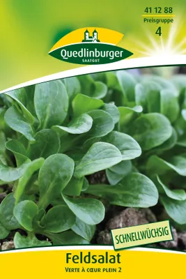 Artikelbild 2 von 'Feldsalat Verte à couer plein 2 (10 g)' aus der Kategorie Feldsalatsamen
