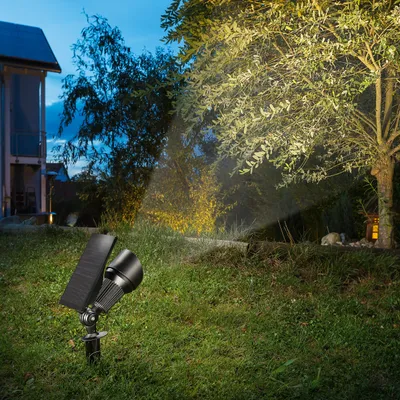 A solar-powered spotlight illuminates a tree in a garden at dusk.