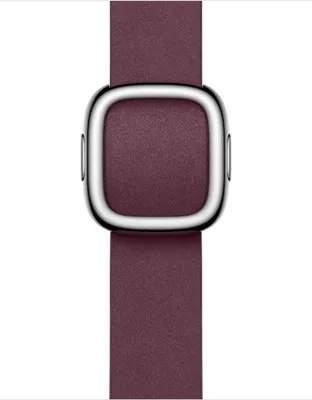 Image de Apple MUH73ZM/A accessoire intelligent à porter sur soi Bande Baie Polyester