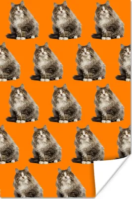Produktbild von MuchoWow® Poster Tiere - Orange - Muster 20x30 cm - Papierdruck