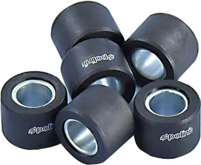 Image de POLINI Rouleaux de variateur 24X18 18,0 g