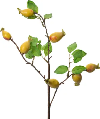 Produktbild von Clayre & Eef Kunstblume 50 cm Gelb Kunststoff