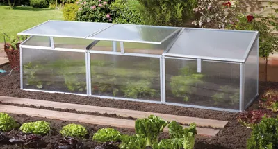 A cold frame greenhouse with multiple sections, used in a garden setting with plants growing inside and around it.