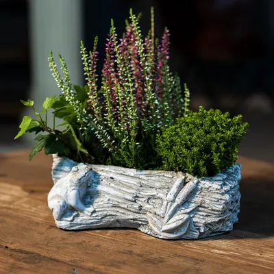 Produktbild von Zement Pflanzschale grau Baumstamm mit Frosch 12 x 21cm Blumentopf Deko-Schale bepflanzbar