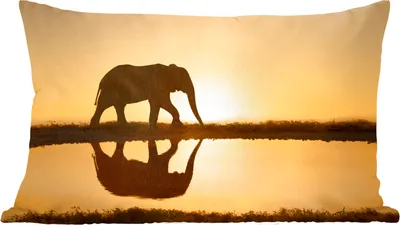 Produktbild von MuchoWow® Zierkissen Sofakissen Wohnzimmer Dekokissen 50x30 cm Silhouette eines Elefanten bei Sonnenuntergang - Wohnzimmerdekoration - Polster mit Photo