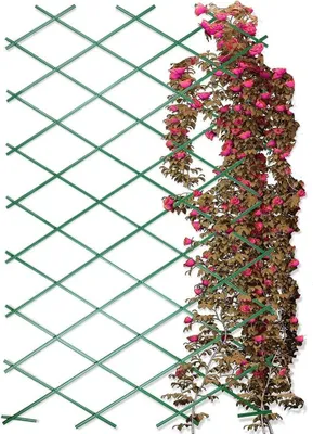 Obrázek produktu pro Dekorativní plot 200x100 cm PROGARDEN