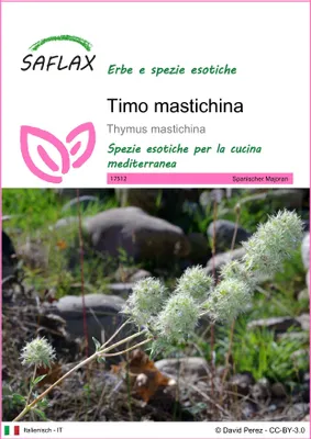 Immagine prodotto di SAFLAX - Timo mastichina - 250 semi - Thymus