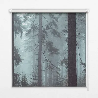 Produktbild von Seitenzug-Rollo Fensterrollo Jalousie - Thermo-Rollo Verdunkelungsrollo - 150x240 cm - Wald bei Nacht