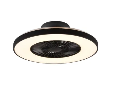 Obrázek produktu pro TRIO HALMSTAD, Domácí vrtulový ventilátor, Černá, Strop, Plast, IP20, AC