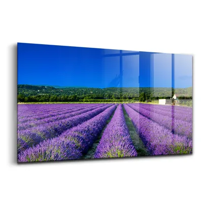 Produktbild von Glasmalerei - dekoratives Bild - moderne Malerei - 100x50 - Lavendelfeld in der Provence