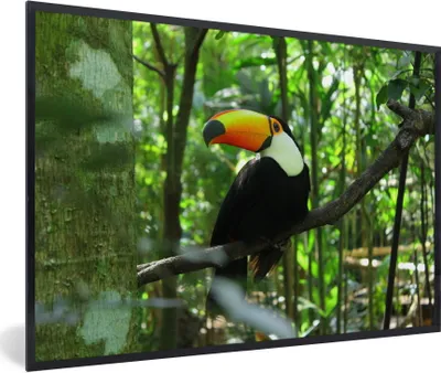 Produktbild von MuchoWow® MuchoWow® Gerahmtes Poster Tukan im Baum 90x60 cm - Poster mit zchwarzem Bilderrahmen - Fotorahmen - Foto-Plakat