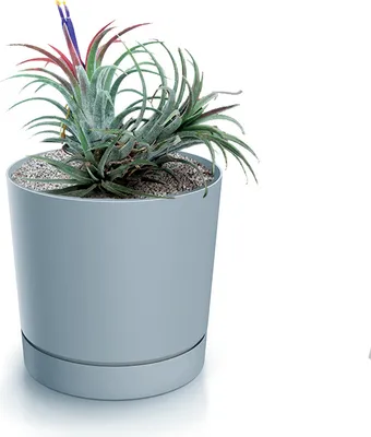 Produktbild von GRAUER BLUMENTOPF 13cm Topf mit Ständer CLIC+DROP SYSTEM POLIERTES PRODUKT