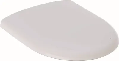 A white toilet seat lid is shown from a diagonal angle against a white background.