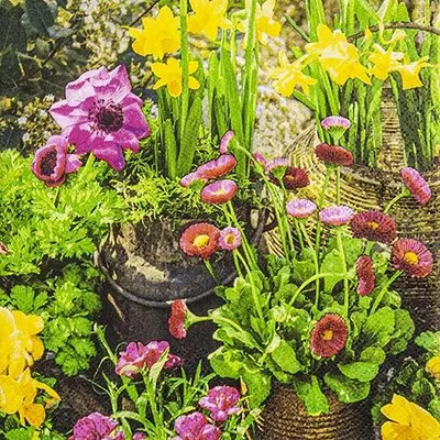 Produktbild von 20 Servietten Spring Garden - Garten mit gesammelten Blumen 33x33cm