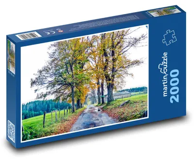 Zdjęcie produktu dla martinpuzzle - Puzzle 2000 - Drzewa jesienią