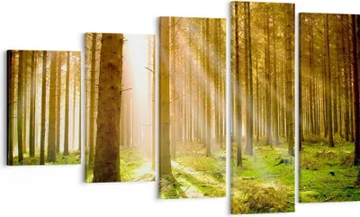 Produktbild von Bild auf Leinwand - Leinwandbild - Bäume Sonne Natur - 100x60cm - Wand Bild - Wanddeko - Wandbilder - Leinwanddruck - Bilder - Kunstdruck - Wanddekoration - Leinwand bilder - Wandkunst - EG100x60-0156