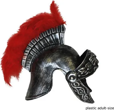 Produktbild von Römerhelm silbergrau mit Maraboubürste