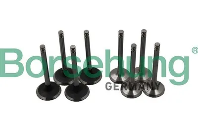 Produktbild von Borsehung Ventil B18640 für VW Golf IV Schrägheck (1J1)