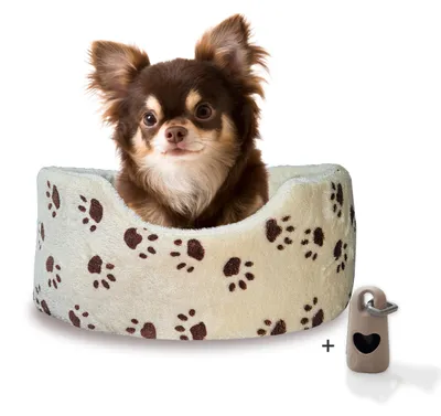 Produktbild von Hundebett Silvio mit Hundekotbeutelset, Größe:S