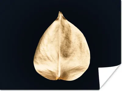 Produktbild von MuchoWow® Poster Blätter - Schwarz und Gold - Schwarz - Gold - Luxus 160x120 cm - Foto Plakat