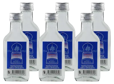 Produktbild von Fjorowka Wodka (12 x 0,1L)