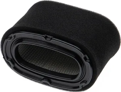 Produktbild von vhbw 1x Vorfilter, 1x Luftfilter kompatibel mit Honda GXV390T1, GXV390K1, GXV390A1, GXV390UT1, GXV390UA1 Motor für Rasentraktor - 2-tlg. Filter-Set