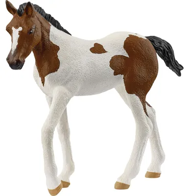 Produktbild von Schleich Horse Club Paint Horse  Fohlen 14899