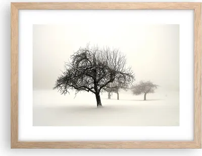 Produktbild von Gerahmtes Poster - Rahmen in heller Eiche - Bäume Schnee Nebel - 40x30 cm - Wand Bild - Wanddeko - Wandbilder - Wandposter - Bilderrahmen - Bilder - Kunstdruck - Wandbild - P2NAA40x30-4136