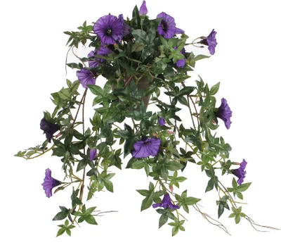 Produktbild von Mica Decorations Petunien hängend in Blumentopf Stan - L50 x T45 x H25 cm - Dunkelviolett