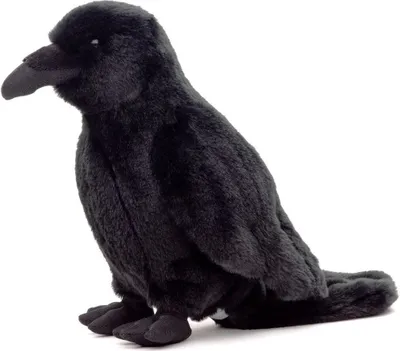 A plush toy raven sits on a white background.