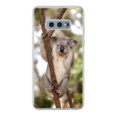 Produktbild von MuchoWow® Handyhülle Schutzhülle Hülle für Samsung Galaxy S10e Koala - Äste - Tier - Kinder - Jungen - Mädchen Silikon Softcase Handy Hülle - Handy
