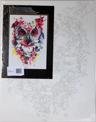 Immagine prodotto di Dipingere con i numeri Gufo a colori 40x50 cm