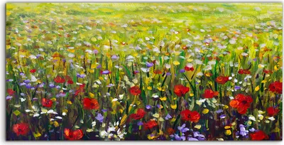 Produktbild von Coloray - Glasbild - 120x60 cm - Wandbild - Glasbilder - Rote Mohn Blumen Feld Malerei gelb