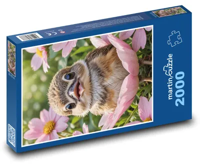 Obrázok produktu pre Puzzle 2000 Vták v kvetoch - martinpuzzle