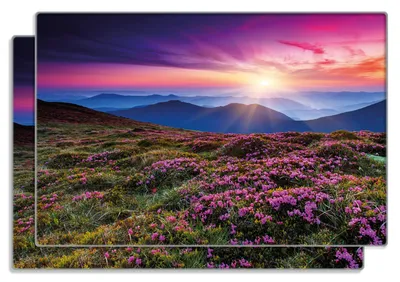 Produktbild von Wallario Frühstücksbrettchen 2er Set aus Glas, je 20 x 30 cm, mit rutschfesten Füßen, Motiv Blumenbedeckte Wiese bei Sonnenuntergang