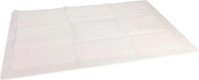 Produktbild von Beeztees Welpe Trainings Pads - Hundetoilette - L - 10Stk.