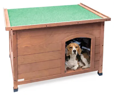 Immagine prodotto di Casetta in legno per cani da esterno, con tetto apribile