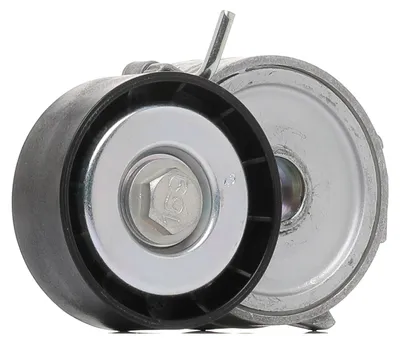 Produktbild von DAYCO APV2464 Riemenspanner Keilrippenriemen für LAND ROVER Range Rover Evoque (L538)