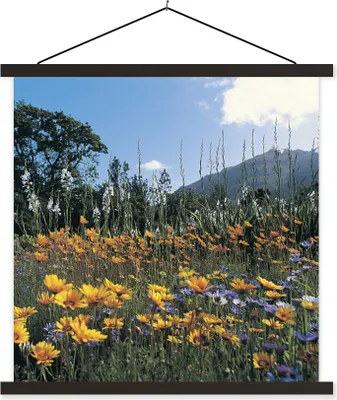 Produktbild von MuchoWow® Textilposter Blumen - Natur - Farbe 90x90 cm mit schwarzem Rahmen - Magnetisches