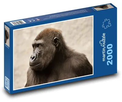 Obrázek produktu pro martinpuzzle - Puzzle 2000 - Opice - primát, zvíře