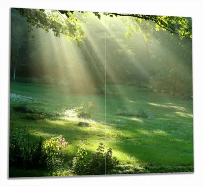 Produktbild von Wallario Herdabdeckplatte aus Glas, Größe 60 x 52 cm 2-teilig, Motiv Sonnenstrahlen im Wald
