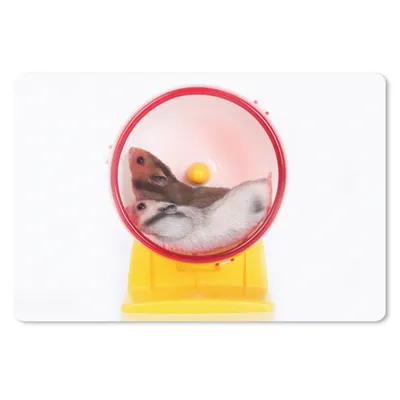 Produktbild von MuchoWow® Mauspad Mousepad Hamster im Laufrad 27x18 cm - Mousepads - Maus Mat - Pad - Mausunterlage - Büroartikel - Desk Matten